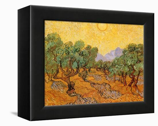 Sun over Olive Grove, 1889-Vincent van Gogh-Framed Premier Image Canvas