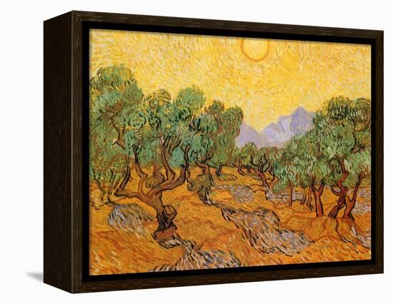 Sun over Olive Grove, 1889-Vincent van Gogh-Framed Premier Image Canvas