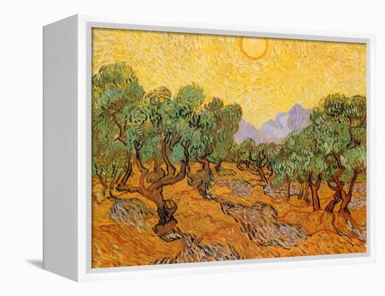 Sun over Olive Grove, 1889-Vincent van Gogh-Framed Premier Image Canvas