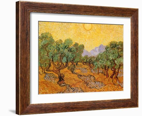 Sun over Olive Grove, 1889-Vincent van Gogh-Framed Giclee Print