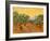 Sun over Olive Grove, 1889-Vincent van Gogh-Framed Giclee Print