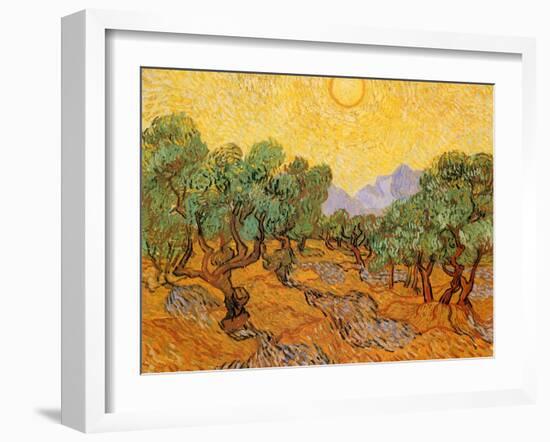 Sun over Olive Grove, 1889-Vincent van Gogh-Framed Giclee Print