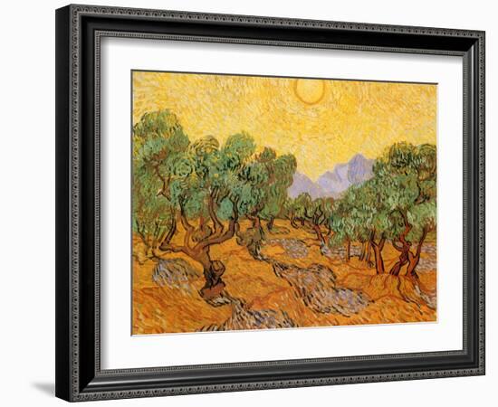 Sun over Olive Grove, 1889-Vincent van Gogh-Framed Giclee Print