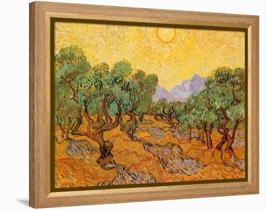 Sun over Olive Grove, 1889-Vincent van Gogh-Framed Premier Image Canvas