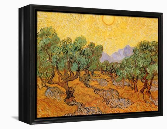 Sun over Olive Grove, 1889-Vincent van Gogh-Framed Premier Image Canvas