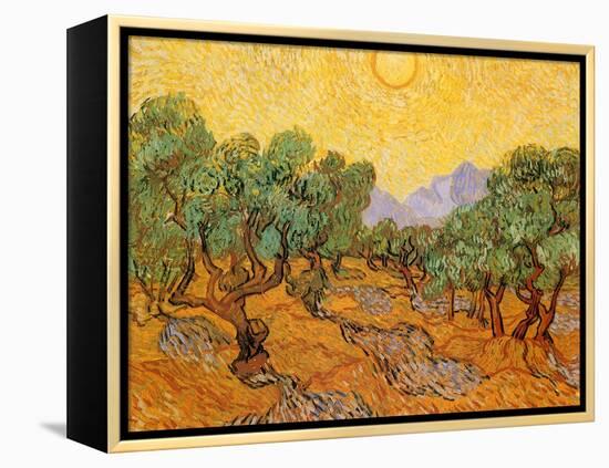 Sun over Olive Grove, 1889-Vincent van Gogh-Framed Premier Image Canvas