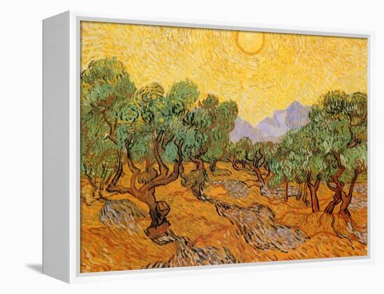 Sun over Olive Grove, 1889-Vincent van Gogh-Framed Premier Image Canvas