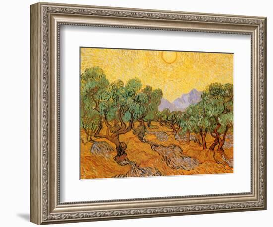 Sun over Olive Grove, 1889-Vincent van Gogh-Framed Giclee Print