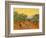 Sun over Olive Grove, 1889-Vincent van Gogh-Framed Giclee Print