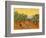 Sun over Olive Grove, 1889-Vincent van Gogh-Framed Giclee Print