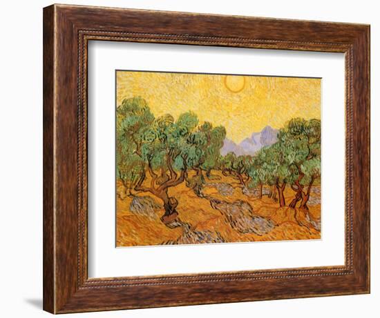 Sun over Olive Grove, 1889-Vincent van Gogh-Framed Giclee Print