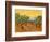 Sun over Olive Grove, 1889-Vincent van Gogh-Framed Giclee Print