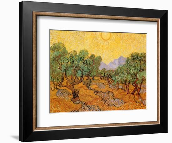 Sun over Olive Grove, 1889-Vincent van Gogh-Framed Giclee Print