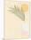 Sun Palm II Blush-Moira Hershey-Mounted Art Print