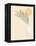 Sun Palm II Blush-Moira Hershey-Framed Stretched Canvas