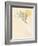 Sun Palm II Blush-Moira Hershey-Framed Art Print