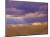 Sun Rays in the Afternoon Storm Clouds, Maasai Mara, Kenya-Joe Restuccia III-Mounted Photographic Print