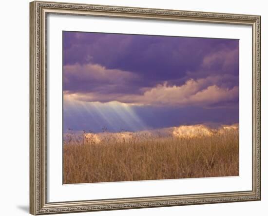 Sun Rays in the Afternoon Storm Clouds, Maasai Mara, Kenya-Joe Restuccia III-Framed Photographic Print