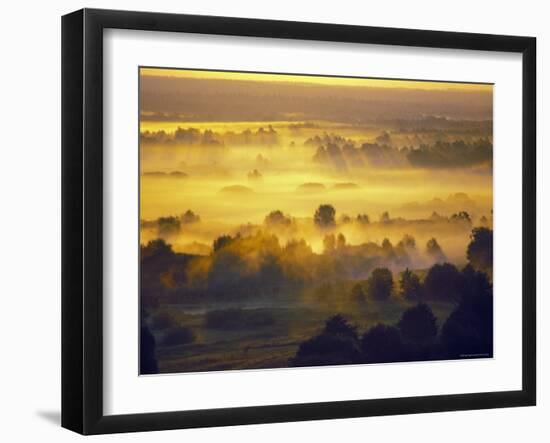 Sun Rise Over the Bryansk Forest, Bryansky Les Zapovednik, Russia-Igor Shpilenok-Framed Photographic Print