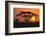 Sun Rising behind Trees-DLILLC-Framed Photographic Print