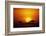 Sun Rising over Savannah, Masai Mara National Reserve, Kenya-Anup Shah-Framed Photographic Print