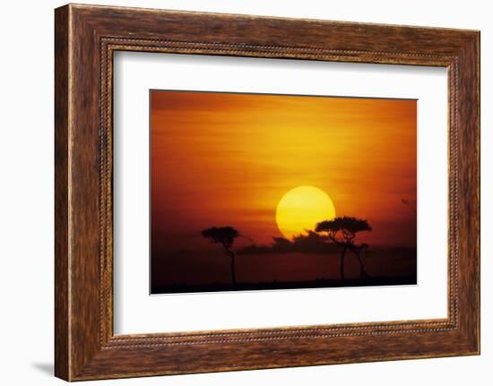 Sun Rising over Savannah, Masai Mara National Reserve, Kenya-Anup Shah-Framed Photographic Print