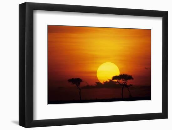 Sun Rising over Savannah, Masai Mara National Reserve, Kenya-Anup Shah-Framed Photographic Print