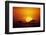 Sun Rising over Savannah, Masai Mara National Reserve, Kenya-Anup Shah-Framed Photographic Print