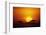 Sun Rising over Savannah, Masai Mara National Reserve, Kenya-Anup Shah-Framed Photographic Print