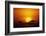 Sun Rising over Savannah, Masai Mara National Reserve, Kenya-Anup Shah-Framed Photographic Print