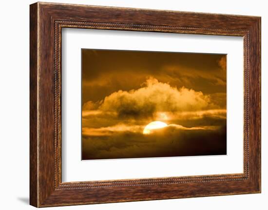 Sun Rising Through the Clouds at Dawn, ANWR, Alaska, USA-Steve Kazlowski-Framed Photographic Print