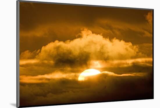 Sun Rising Through the Clouds at Dawn, ANWR, Alaska, USA-Steve Kazlowski-Mounted Photographic Print
