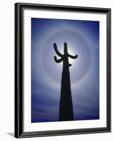 Sun's Halo Around Saguaro Cactus, Organ Pipe Cactus National Monument, Arizona, USA-Christopher Talbot Frank-Framed Photographic Print