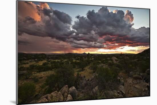 Sun Sets On Mopane Trees & Granite Boulders, Rain Storm Travels Damaraland, Hoada (Grootberg Lodge)-Karine Aigner-Mounted Photographic Print