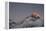 Sun Sets on Mount Everest Seen from Kala Patar, Khumbu, Himalayas, Nepal, Asia-Alex Treadway-Framed Premier Image Canvas