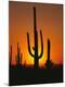 Premium Photographic Print