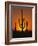 Sun Setting Behind Cacti-null-Framed Photographic Print