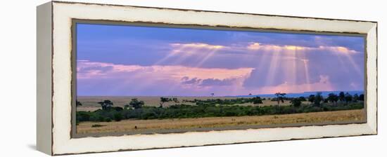 Sun Setting on the Masai Mara, Kenya-Joe Restuccia III-Framed Premier Image Canvas