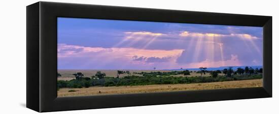 Sun Setting on the Masai Mara, Kenya-Joe Restuccia III-Framed Premier Image Canvas