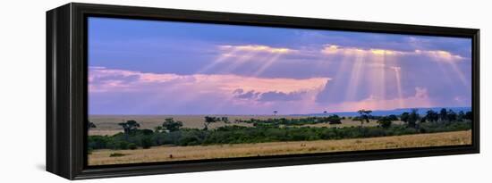 Sun Setting on the Masai Mara, Kenya-Joe Restuccia III-Framed Premier Image Canvas