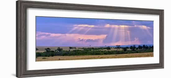 Sun Setting on the Masai Mara, Kenya-Joe Restuccia III-Framed Photographic Print