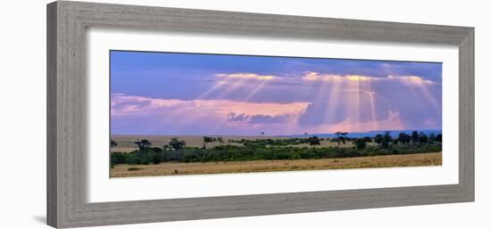 Sun Setting on the Masai Mara, Kenya-Joe Restuccia III-Framed Photographic Print