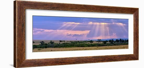 Sun Setting on the Masai Mara, Kenya-Joe Restuccia III-Framed Photographic Print