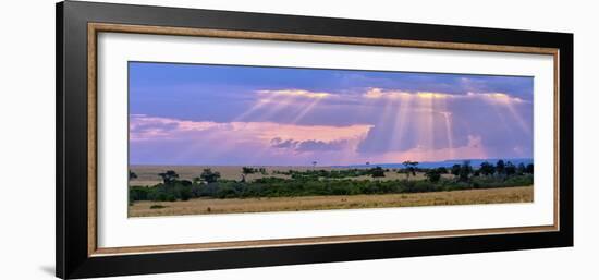 Sun Setting on the Masai Mara, Kenya-Joe Restuccia III-Framed Photographic Print