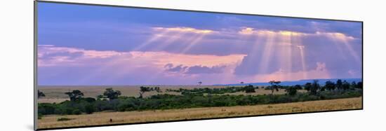 Sun Setting on the Masai Mara, Kenya-Joe Restuccia III-Mounted Photographic Print