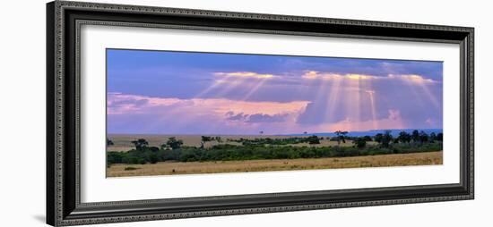 Sun Setting on the Masai Mara, Kenya-Joe Restuccia III-Framed Photographic Print