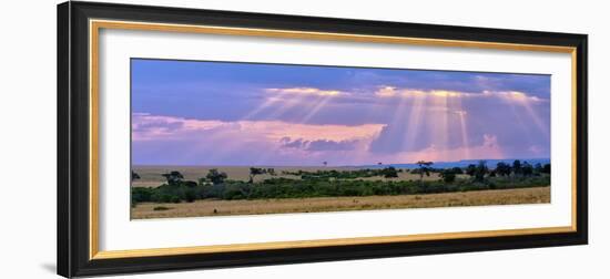 Sun Setting on the Masai Mara, Kenya-Joe Restuccia III-Framed Photographic Print