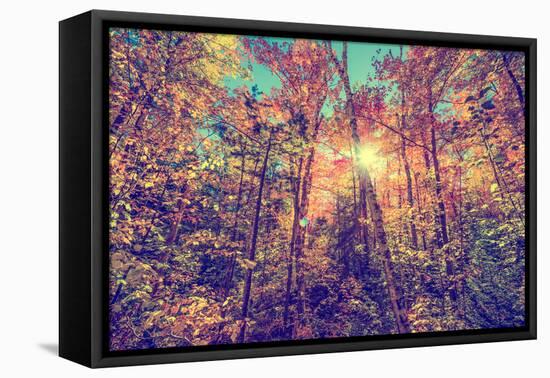 Sun Shining through Leaves in an Autumn Forest - Retro, Faded, Instagram-SHS Photography-Framed Premier Image Canvas