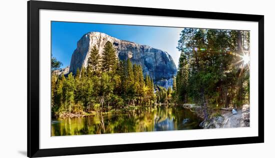 Sun Shining Through Trees in a Forest, Yosemite National Park, California, USA-null-Framed Photographic Print