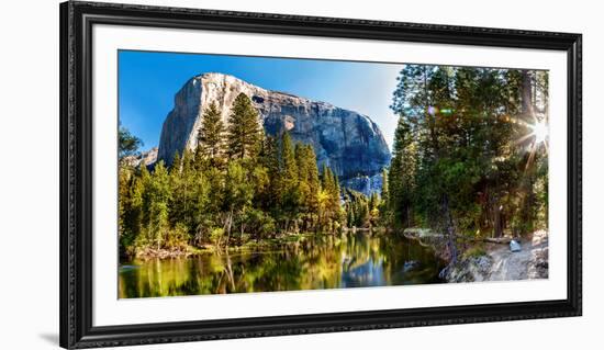 Sun Shining Through Trees in a Forest, Yosemite National Park, California, USA-null-Framed Photographic Print